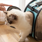 Cat Space Transparent Capsule Carrier Bag