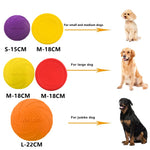 Dog Frisbee Silicone Disc