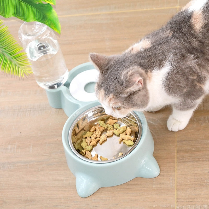 2 in 1 Cat Drinking & Feeding Bowl