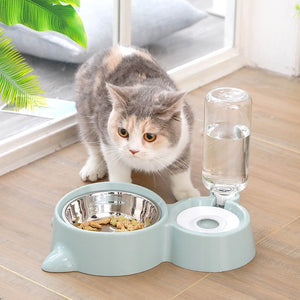 2 in 1 Cat Drinking & Feeding Bowl